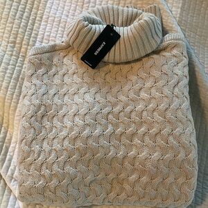 Express Women's Beige Cowl Neck Sweater